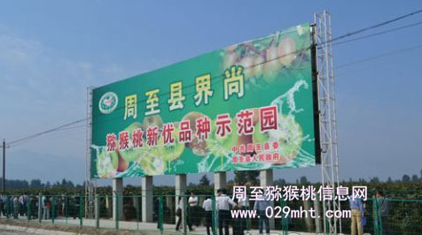 2012年中国beat365产销年会