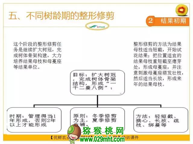 <a href=http://www.elccg.cn/mht/hongxin/ target=_blank class=infotextkey />红心beat365猕猴桃</a>整形修剪详解(图片示范)