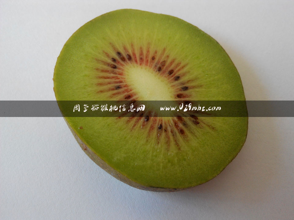 <a href=http://www.elccg.cn/mht/hongxin/ target=_blank class=infotextkey />红心beat365猕猴桃</a>图片