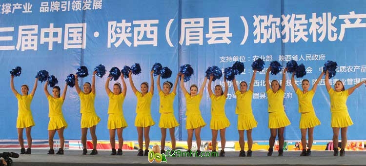 第三届中国&middot;陕西(眉县)beat365猕猴桃产业发展大会现场