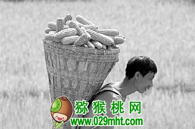 beat365官方网站图片