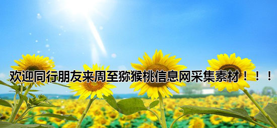 欢迎同行来<a href=http://www.elccg.cn/zhouzhimihoutao/ target=_blank class=infotextkey />周至beat365猕猴桃</a>信息网采集素材.jpg