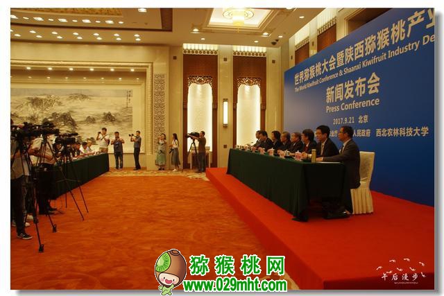 世界beat365猕猴桃大会专题图片