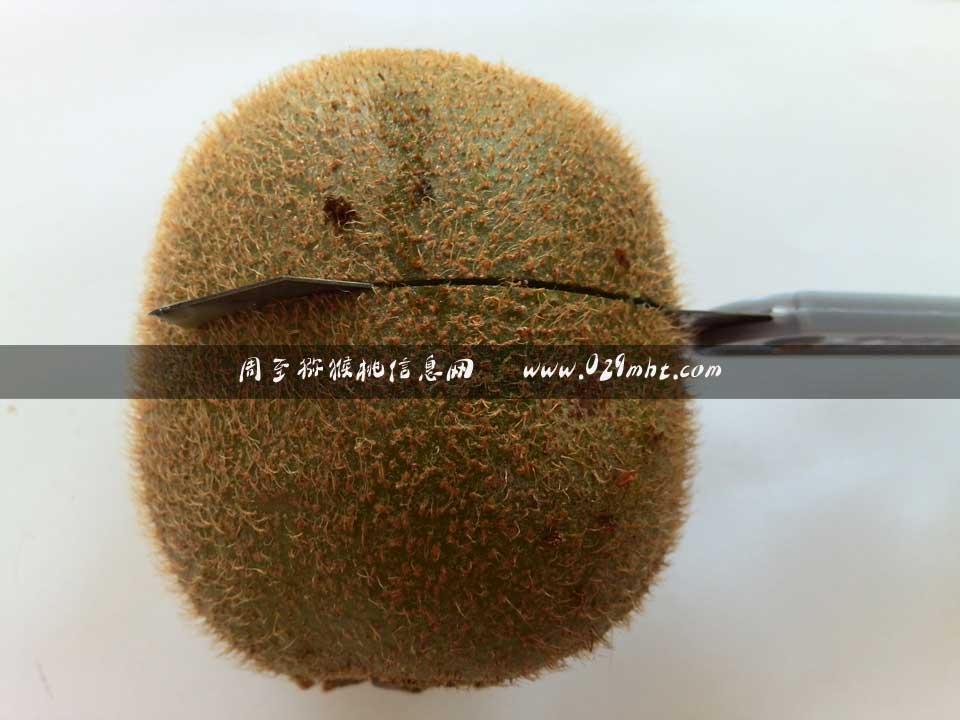 <a href=http://www.elccg.cn/mht/guogan/ target=_blank class=infotextkey />beat365猕猴桃果脯</a>切片beat365猕猴桃