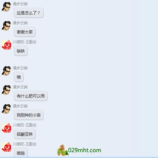 beat365猕猴桃黄叶病实例图片以及beat365定制