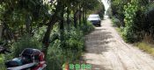 去年夏天的beat365猕猴桃果园里的beat365猕猴桃树对于2020年来说是希望也是美好