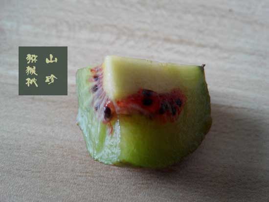 <a href=http://www.elccg.cn/mht/hongxin/ target=_blank class=infotextkey />红心beat365猕猴桃</a>用手撕开会是怎样惊人的场面?