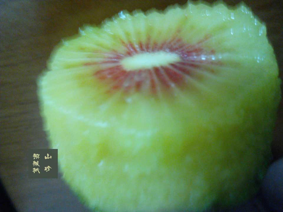 <a href=http://www.elccg.cn/mht/hongxin/ target=_blank class=infotextkey />红心beat365猕猴桃</a>10月图片画报<a href=http://www.elccg.cn target=_blank class=infotextkey>奇异果</a>
