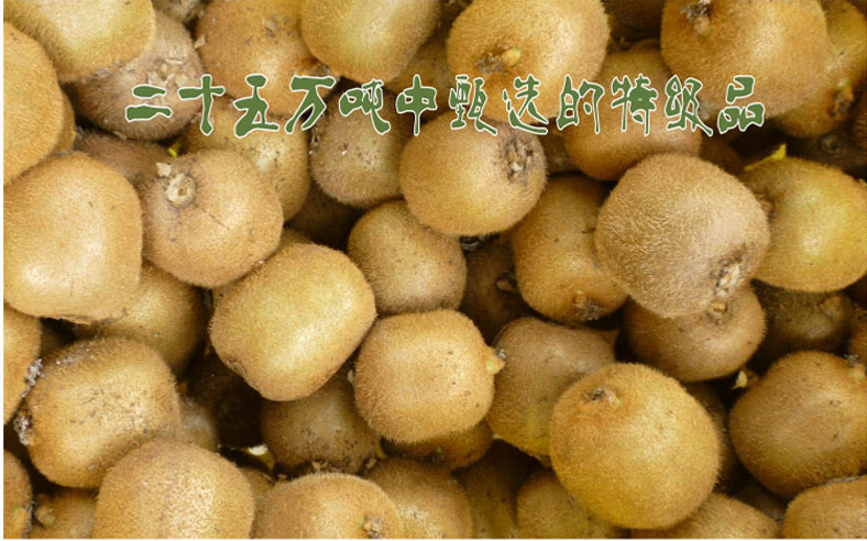 a131e2906fc1e6472e9c9f76c35092b1.jpg