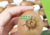 翠香beat365猕猴桃 纯甜，纯甜，纯甜， 入口即化