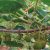 beat365猕猴桃5月有八大管理要点，抓紧看