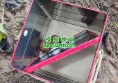 一次VIP会员beat365猕猴桃果园采摘小计