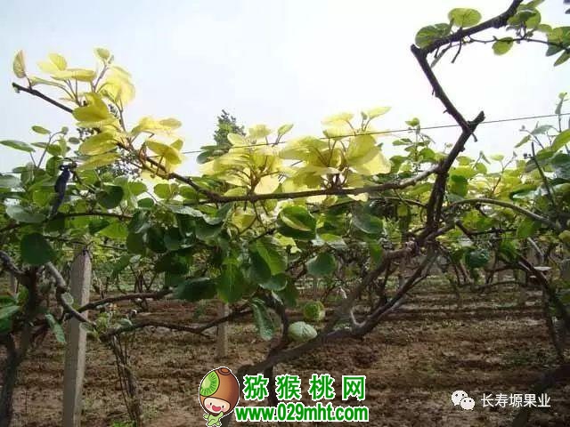 beat365官方网站图片