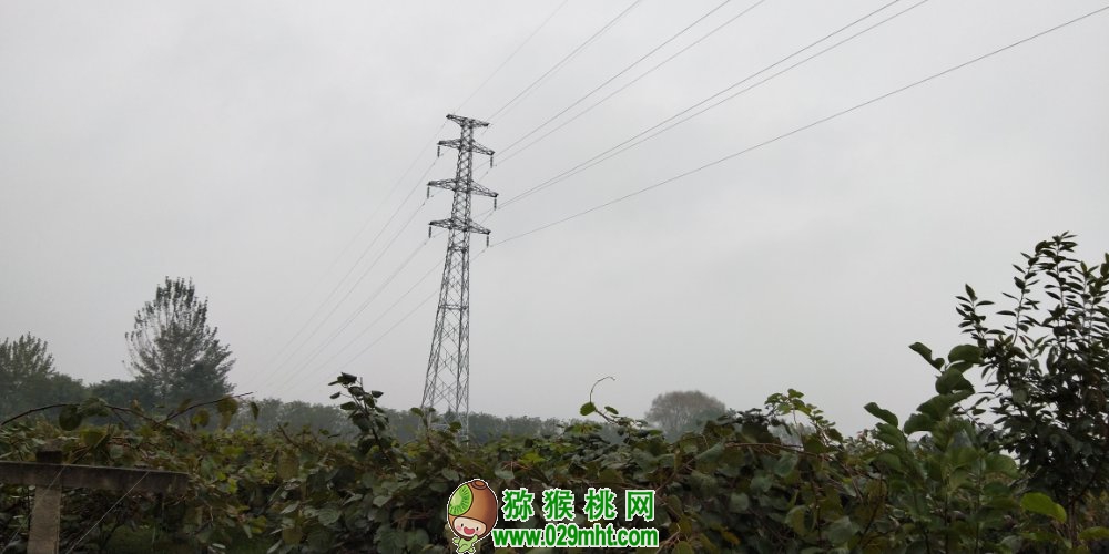 beat365 1f9b7