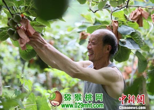 beat365官方网站图片