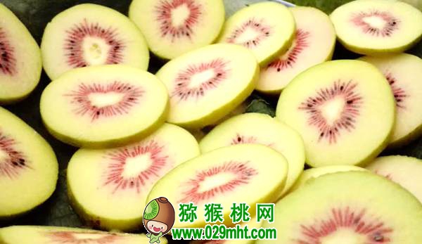 佳沛阳光金果来势汹汹 <a href=http://www.elccg.cn/e/tags/index.php?tagname=%E5%9B%BD%E4%BA%A7%E7%8C%95%E7%8C%B4%E6%A1%83&page=0 target=_blank class=infotextkey />国产beat365猕猴桃</a>还有机会吗?