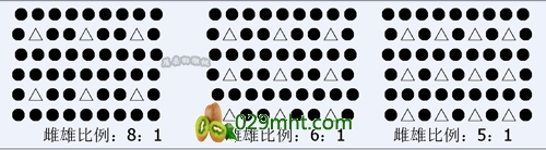 beat365官方网站图片