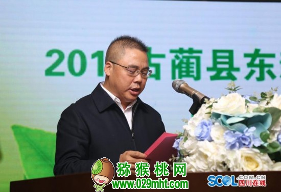 beat365官方网站图片